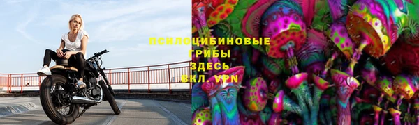а пвп мука Касимов