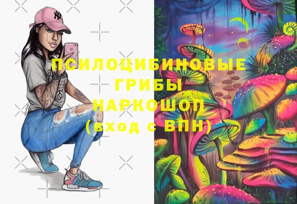хмурый Карталы